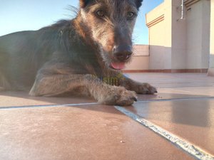 IMG_20181230_171031_0.jpg