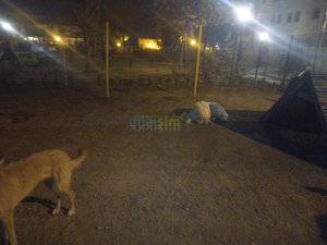 IMG_20181220_201932_0.jpg
