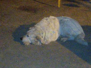 IMG_20181220_202019_5.jpg