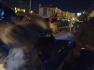 IMG_20181220_202441_7selfie.jpg