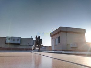 IMG_20181230_171413_9.jpg