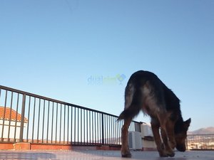 IMG_20181230_171542_9.jpg