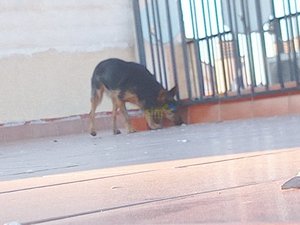 IMG_20181230_171940_1.jpg