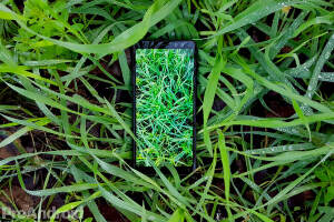 Samsung-galaxy-a8-cesped.jpg
