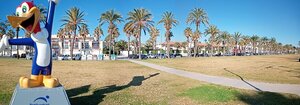 IMG_20190115_111149_1.jpg