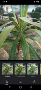 Screenshot_20190222-145646.png