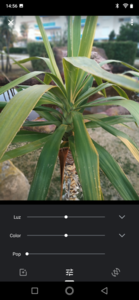 Screenshot_20190222-145655.png