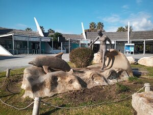 IMG_20190220_105059_5.jpg