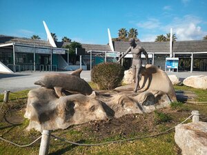 IMG_20190220_105104_5~2.jpg