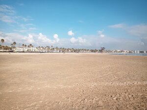 IMG_20190220_104245_4.jpg