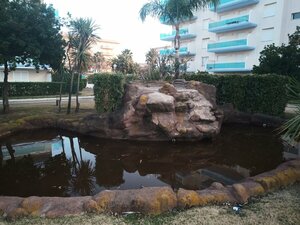 IMG_20190221_180612_8.jpg