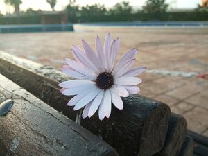 IMG_20190221_180856_4.jpg