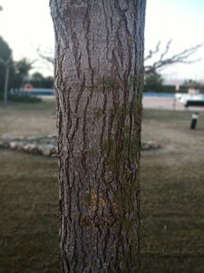 IMG_20190221_180330_8.jpg