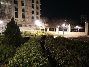 IMG_20190223_192949_3.jpg