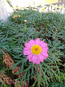 IMG_20190224_135637_0.jpg