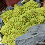 nokia-9-camara-sample_1-150x150.jpg