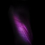 Galaxy-Fold-Fondo-de-pantalla-violeta-150x150.jpg