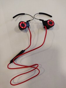 IMG_20190531_113003.jpg