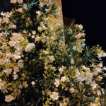 Fotos-noche-oneplus-7-1-150x150.jpg