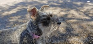 20190514_132033_HDR.jpg