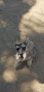 20190615_114351_HDR.jpg
