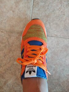IMG_20191001_121102.jpg
