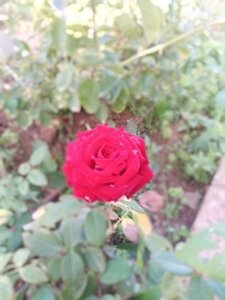 IMG_20191015_080914.jpg
