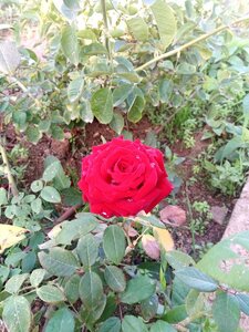 IMG_20191015_080918.jpg