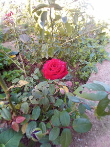 IMG_20191015_080925.jpg