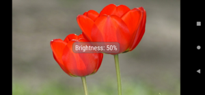 Screenshot_20191023-200646.png