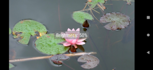 Screenshot_20191023-200602.png