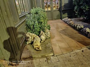 IMG_20191024_195055.jpg