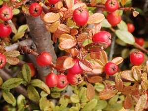 IMG_20191029_114442.jpg