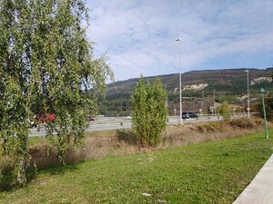 IMG_20191029_114324.jpg