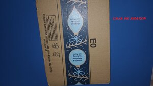 IMG_20191122_103324.jpg