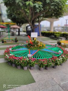 IMG20200118150727.jpg