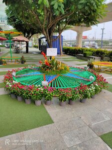 IMG20200118150627.jpg