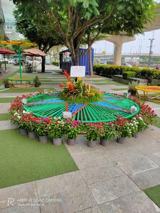 IMG20200118150620.jpg