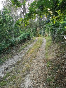 IMG_20200520_194315.jpg