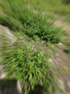 IMG_20200423_141554.png