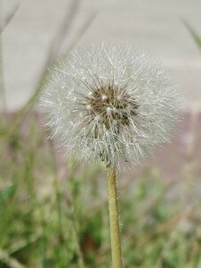 IMG_20200912_120426.jpg