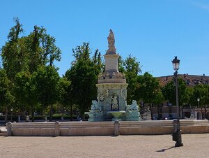 IMG_20200912_131235.jpg