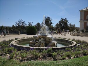 IMG_20200912_130350.jpg