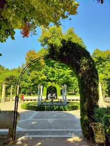 IMG_20200912_122653.jpg