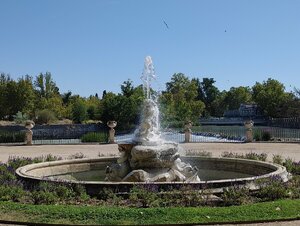 IMG_20200912_121955.jpg