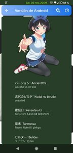 Screenshot_20201105-203955693.jpg