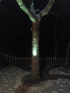 IMG_20201114_182824_708.jpg