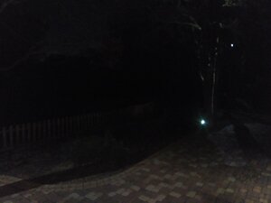 IMG_20201114_182920_332.jpg