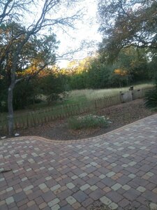 IMG_20201116_071725_370.jpg