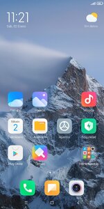 Screenshot_2021-01-02-11-21-22-955_com.miui.home.jpg